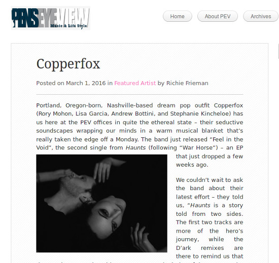 Copperfox_PensEyeView